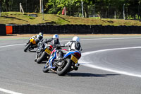 brands-hatch-photographs;brands-no-limits-trackday;cadwell-trackday-photographs;enduro-digital-images;event-digital-images;eventdigitalimages;no-limits-trackdays;peter-wileman-photography;racing-digital-images;trackday-digital-images;trackday-photos